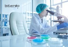 Life Science Scientific Writer Job Opening at Novartis Life Science Scientific Writer