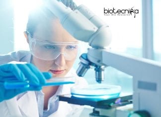 Life Sciences Clinical Development Job Opening at Novo Nordisk Life Sciences Clinical Development