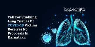 Study Of Lungs Of Covid-19 Victims