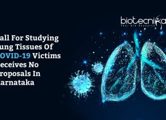 Study Of Lungs Of Covid-19 Victims