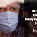 Special Coronavirus Vaccine For Elderly Being Developed By Harvard Scientists Coronavirus vaccine specifically for the elderly