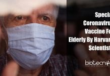 Special Coronavirus Vaccine For Elderly Being Developed By Harvard Scientists Coronavirus vaccine specifically for the elderly