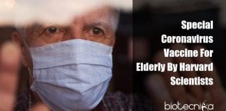 Coronavirus vaccine specifically for the elderly