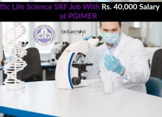 MSc Life Science SRF Job With Rs. 40,000 Salary at PGIMER MSc Life Science SRF