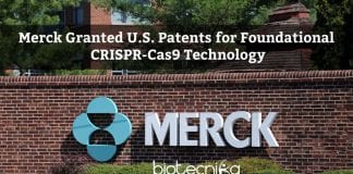 Merck granted U.S. Patents