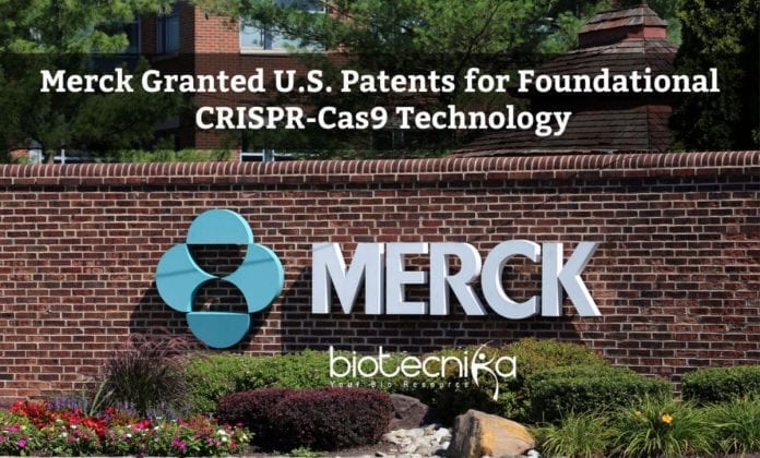 Merck granted U.S. Patents