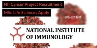 NII Cancer Research Jobs