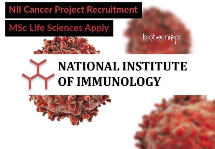 NII Cancer Research Jobs