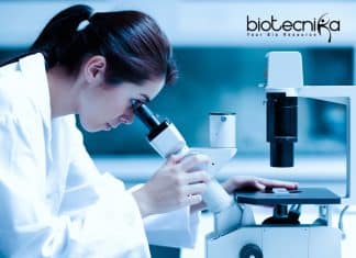 NII Life Science JRF Job Opening – ICAR Funded Project Position NII Job Vacancy JRF