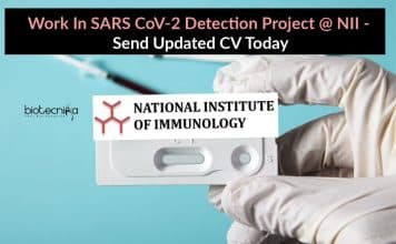 NII Latest Research Job