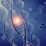 NII Genomic Instability & Carcinogenics Project JRF For Life Science NII Project JRF