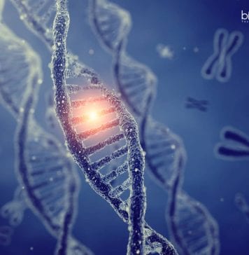 NII Genomic Instability & Carcinogenics Project JRF For Life Science NII Project JRF