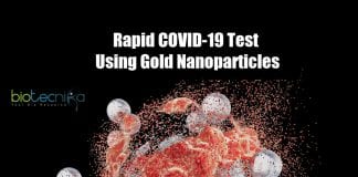 Nanoparticle technique for COVID-19 test