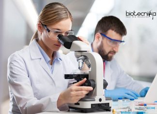 Novartis Biotech Specialist Vacancy