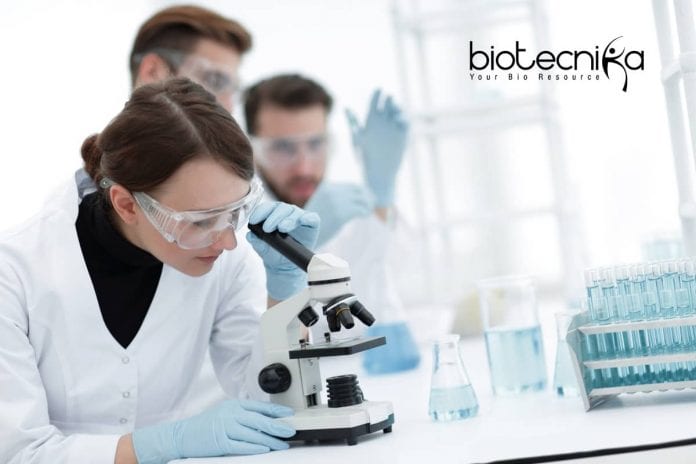 Novartis CDM Jobs