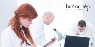 Novartis Copy Editor Job