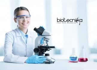 Novartis Job Opening