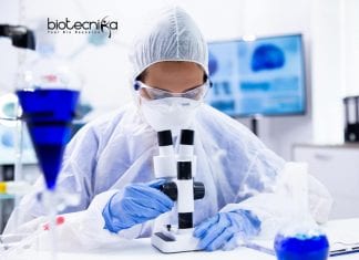 Novartis Latest Life Science Job Openings – Regulatory Affairs Post Novartis Latest Life Science