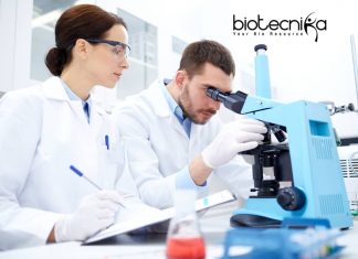 Novartis Scientific Writer – Life Science Candidates Apply Novartis Scientific Writer