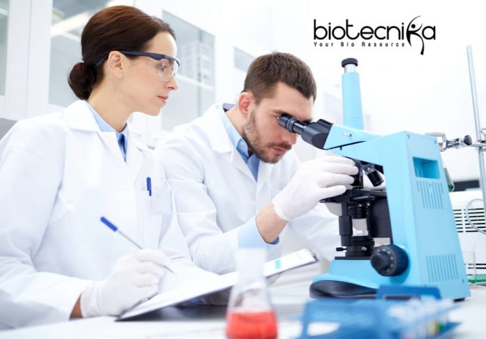 Novartis Scientific Writer