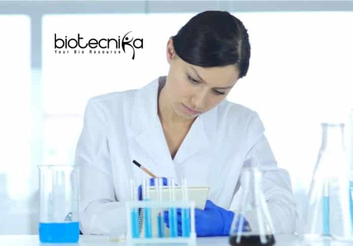 Novartis Senior Copy Editor