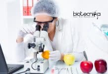 Novozymes Executive Food Job Opening – Apply Online Novozymes Executive Food Job