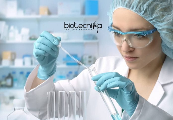 Novozymes Molecular Biology