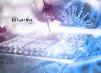 Novozymes Research Associate Life Science Recruitment Novozymes Research Associate Vacancy