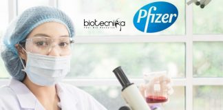 Pfizer Latest Jobs R&D