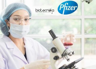 Pfizer Latest Jobs R&D