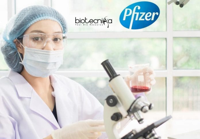 Pfizer Latest Jobs R&D