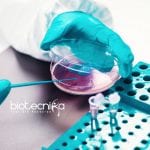 Pfizer Microbiology Investigation Lead Job – Apply Online Pfizer Microbiology Investigation Lead