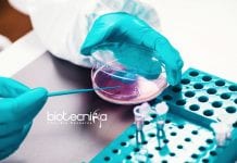 Pfizer Microbiology Investigation Lead Job – Apply Online Pfizer Microbiology Investigation Lead