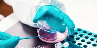 Pfizer Microbiology Investigation Lead