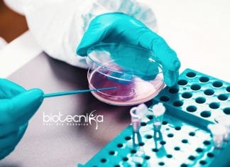 Pfizer Microbiology Investigation Lead Job – Apply Online Pfizer Microbiology Investigation Lead