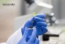 Syngene Assay Biologist Job – Biotech / Biology & Biochem Apply Syngene Assay Biologist Job