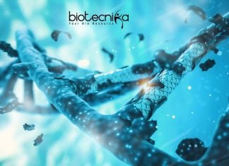 Syngene Genomics Associate Scientist Job Opening Syngene Genomics Associate Scientist