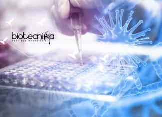 Syngene Immunology / Cell Biology / Life Sciences Scientist Post Syngene Immunology