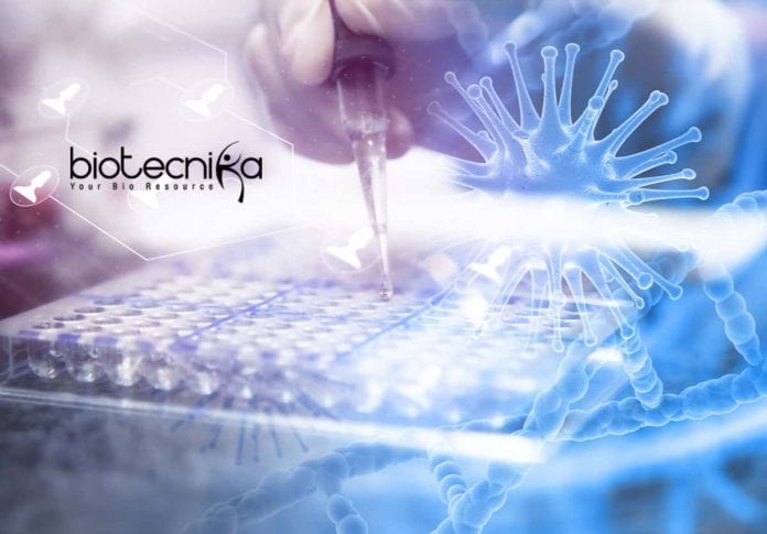 Syngene Immunology