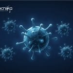 Syngene Viral Testing Dept. Research Associate Job Opening Syngene Latest Cell Culture