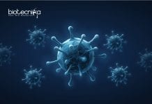 Syngene Viral Testing Dept. Research Associate Job Opening Syngene Latest Cell Culture