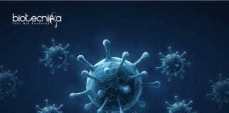 Syngene Latest Cell Culture