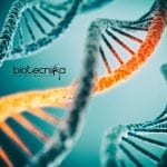 Syngene Molecular Biology Research Associate Job Syngene Molecular Biology Research