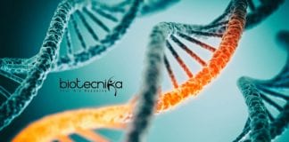 Syngene Molecular Biology Research
