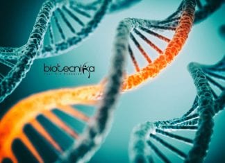 Syngene Molecular Biology Research Associate Job Syngene Molecular Biology Research