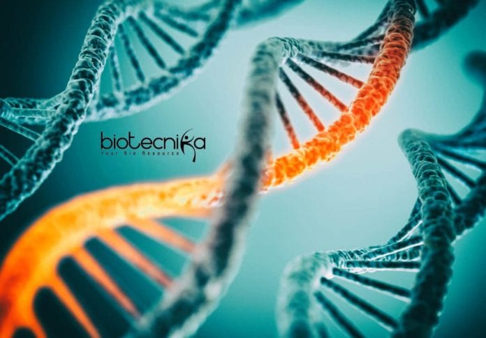 Syngene Molecular Biology Research
