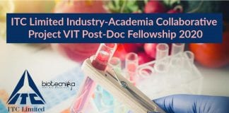 VIT Post-Doc Fellowship 2020