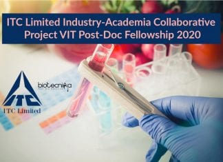 VIT Post-Doc Fellowship 2020