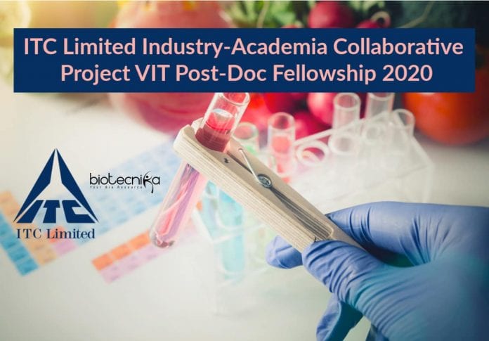 VIT Post-Doc Fellowship 2020