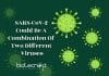 SARS-CoV-2 Could Be A Chimera Of Two Different Coronaviruses coronavirus is chimera of two viruses